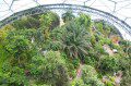 Canopy View