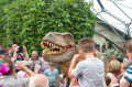 Dinosaur