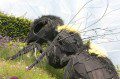 Honey Bee