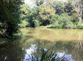 The Lake