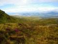 View to Porthmadog