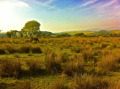 Welsh Scenery