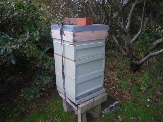 Beehive ready for Winter