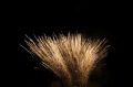 Machynlleth Fireworks