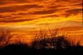 Mad Sunset