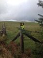 Trail Marker