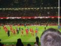 Wales Rugby Team