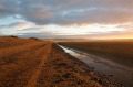 Ynyslas Beach
