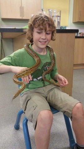 Snake