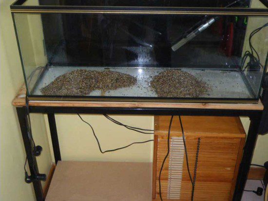 New Tank Set Up