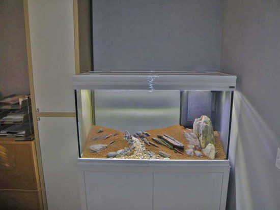 Aquarium