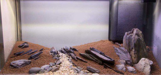 The Final (?) Hardscape