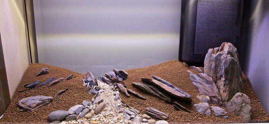 Hardscape