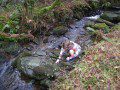 Rock Collecting