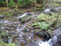Welsh Stream