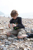 Fossil Hunting