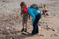 Fossil Hunting