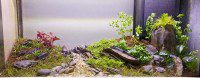 Full Tank Shot