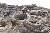 Morgan on the Fossil Forest
