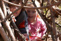 Playing in the Forest