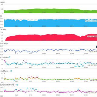 Run Dynamics from a faster paced run