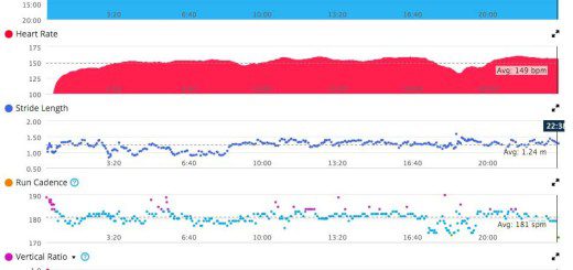 Run Dynamics from a faster paced run