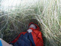 Sheltering from the wind