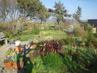 Spring Garden