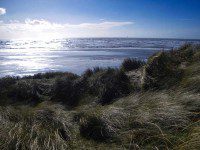 Spring on the Beach