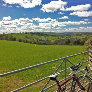 Welsh Sunshine