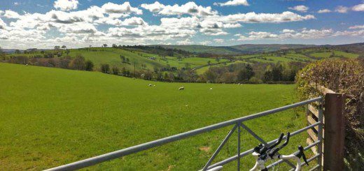 Welsh Sunshine