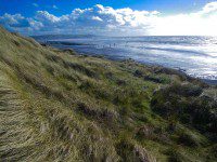 Ynyslas Beach