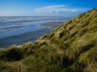Ynyslas Dunes
