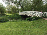 Pooh Sticks