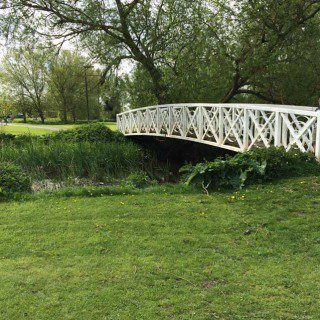 Pooh Sticks