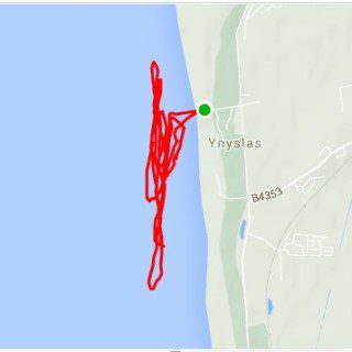Windsurf Session