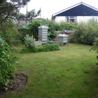 The Apiary