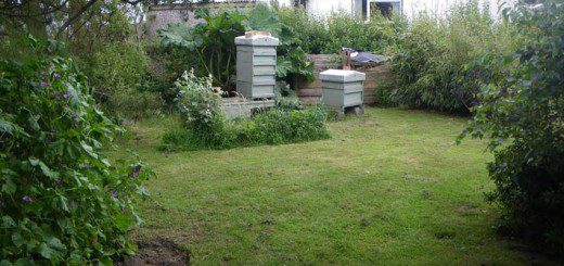 The Apiary