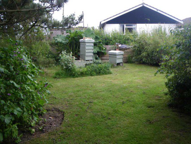 The Apiary