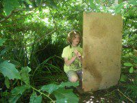 Building a Den