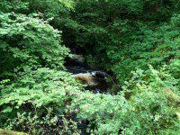River Clettwr