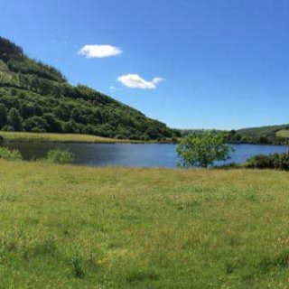 Cwm Rheidol