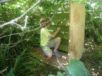 Den Building