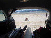 Fun in the Sand