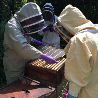 Rob and Lynfas Apiary