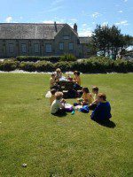 Picnic Lunch