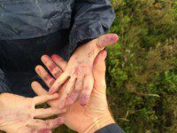 Purple Fingers