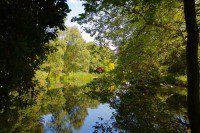 Reflections