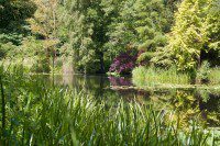 Tranquility