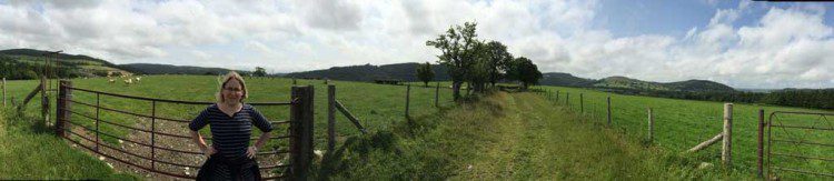 Mid Wales Panorama